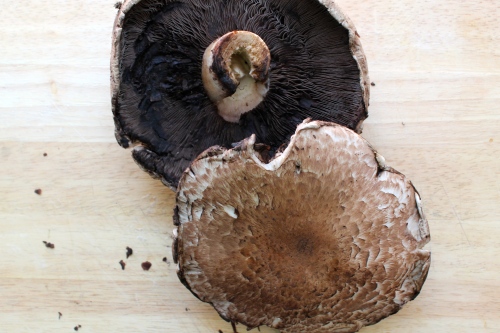 Truffle Mushroom Eggs Benedict | Peace, Love, and Food